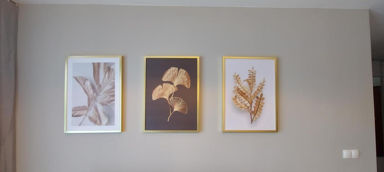 Apartament Barcelona Krakow Bagian luar foto
